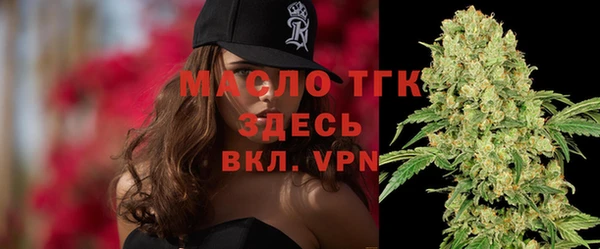 метадон Богданович