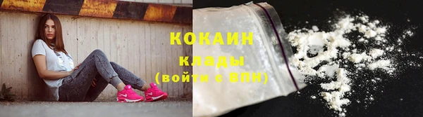 метадон Богданович