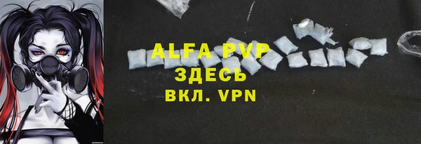 метадон Богданович