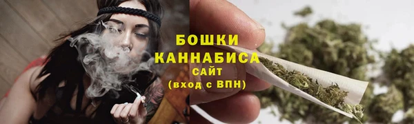 сатива Богородицк