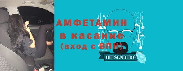 метадон Богданович