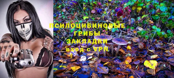 марки lsd Козельск