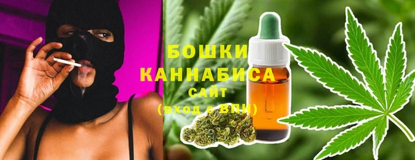 метадон Богданович