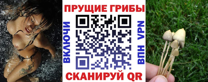 Галлюциногенные грибы Cubensis купить наркотик Калининец